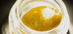 Cannabidiol Oil