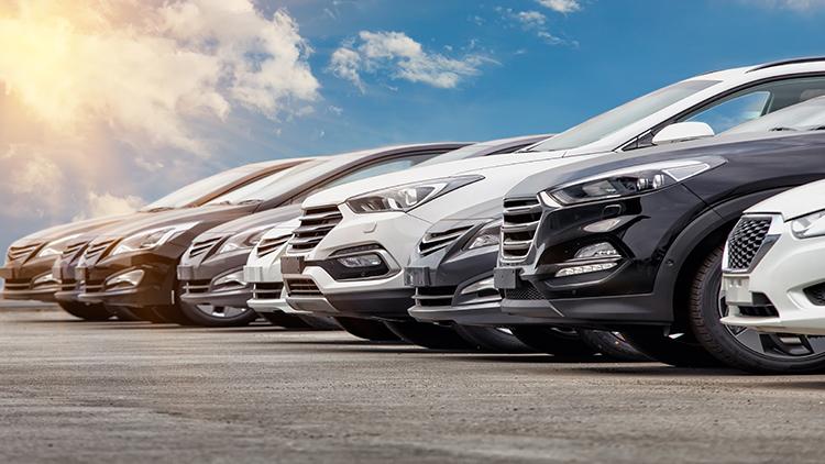 Car Rental